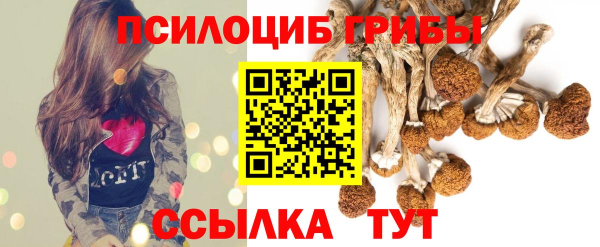Северобайкальск  Псилоцибиновые грибы Magic Shrooms  цены   Вход с VPN  Псилоцибиновые грибы Psilocybine cubensis 