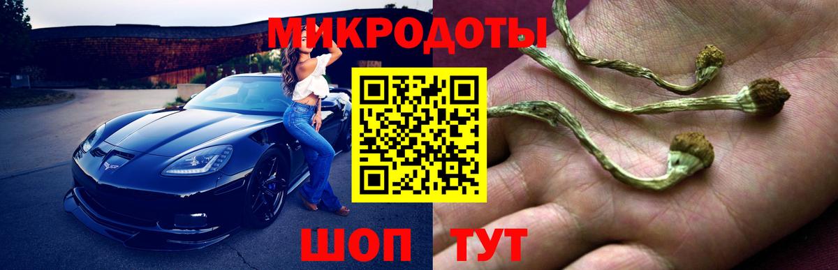 Псилоцибиновые грибы ЛСД Северобайкальск